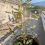 Micnek Apartma Bled