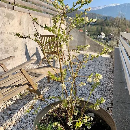 Micnek Apartmán Bled