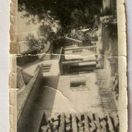 아파트 Micnek 블레드