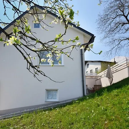 Apartment Micnek