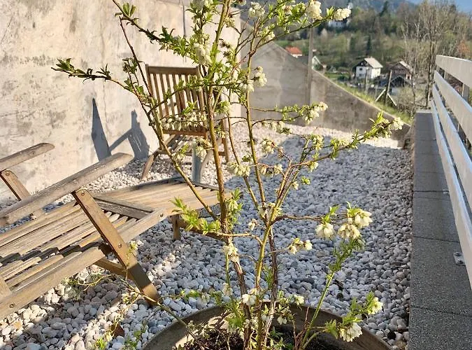 Micnek Lejlighed Bled