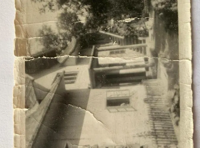 公寓 Micnek 布莱德