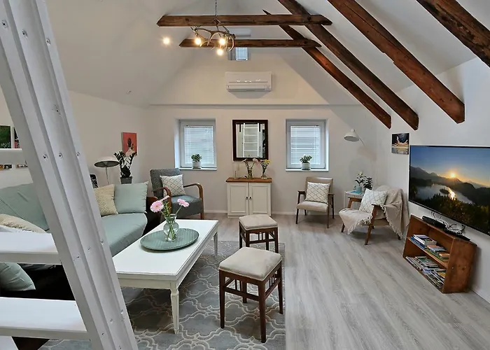 公寓 Micnek 布莱德